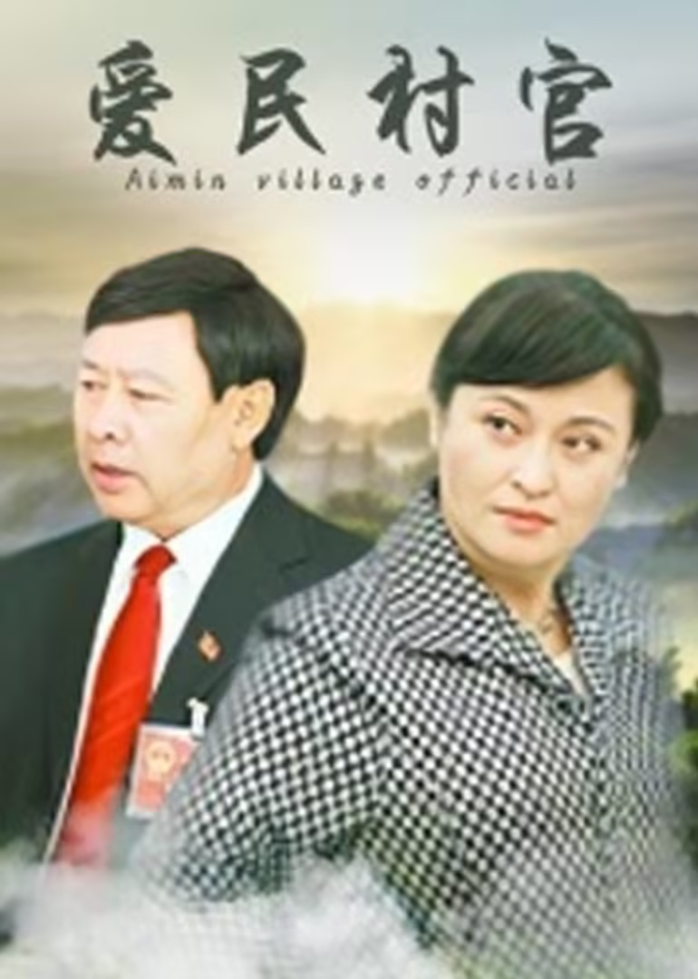 爱民村官(2012)海报