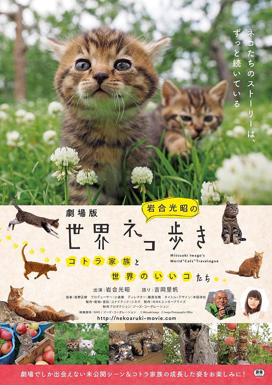 捉喵記(2019)海報