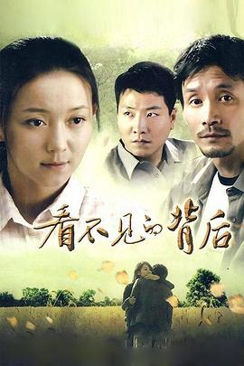 看不見的背後(2011)海報