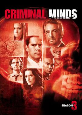 犯罪心理第三季(2005)海报