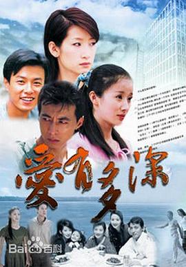 愛有多深(2006)海報