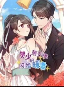 賀少的閃婚暖妻 動態漫第五季(2020)海報