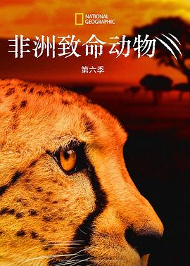非洲致命動物第六季(2011)海報