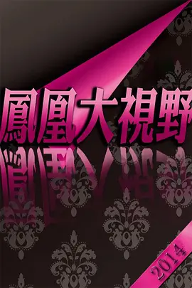 折戟沉沙鐵未銷9·13事件追蹤(2013)海報