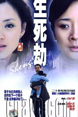 生死劫(2006)海报