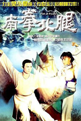 南拳北腿粵語(1995)海報