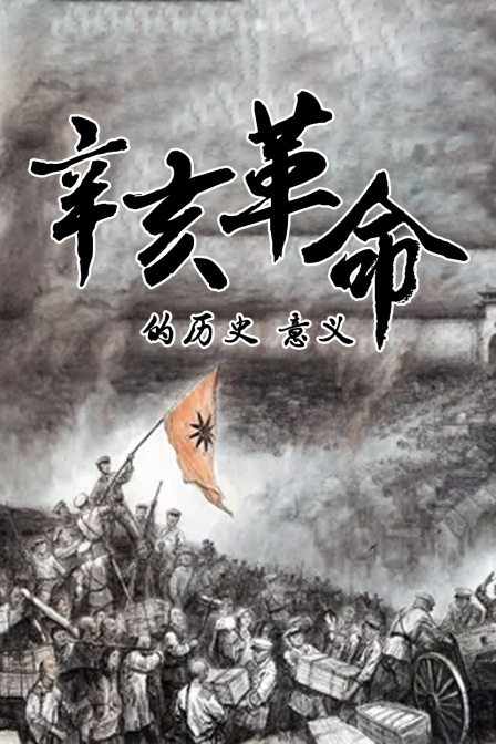 辛亥革命的历史意义(2022)海报