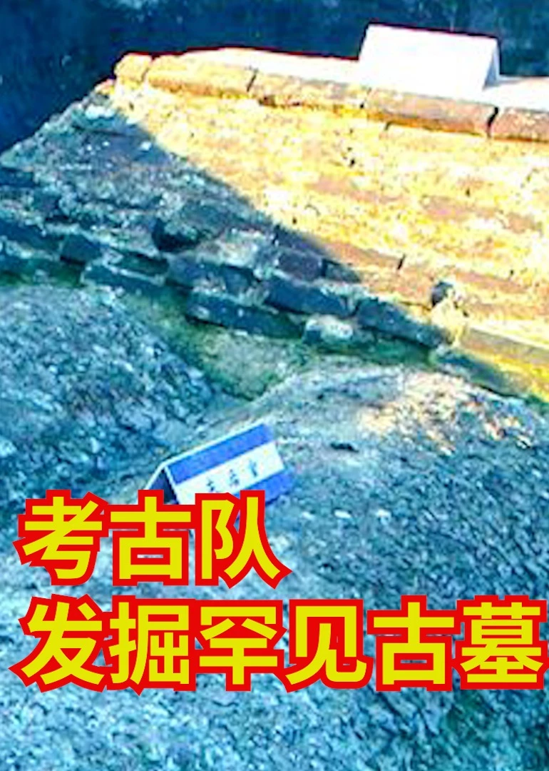 考古队发掘罕见古墓海报