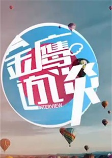 金鷹訪談2011(2011)海報