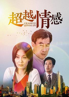 超越情感(2001)海报