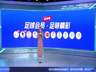 亚冠精英联赛阶段 首尔FCVS成都蓉城 20251104海报