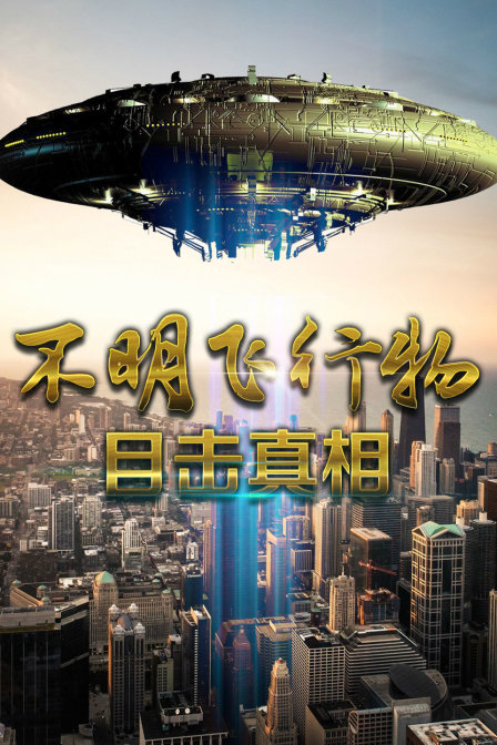 不明飛行物目擊真相(2015)海報
