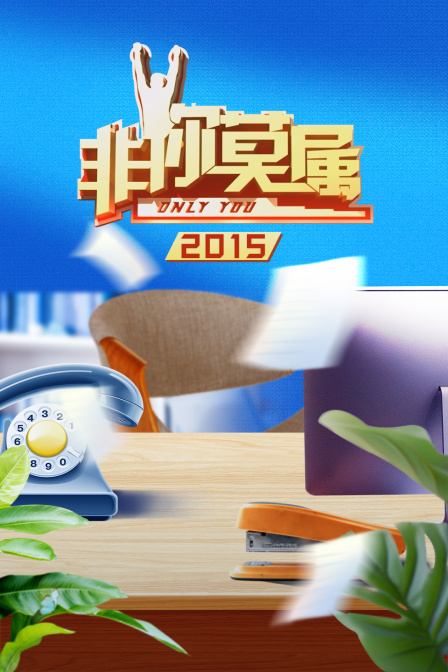 非你莫屬2015(2015)海報