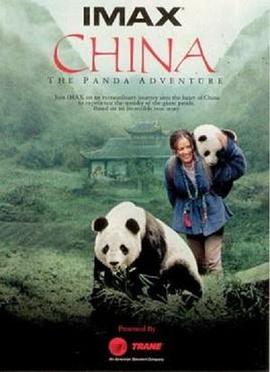 與熊貓共探險(2007)海報