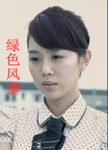 绿色风暴(2011)海报