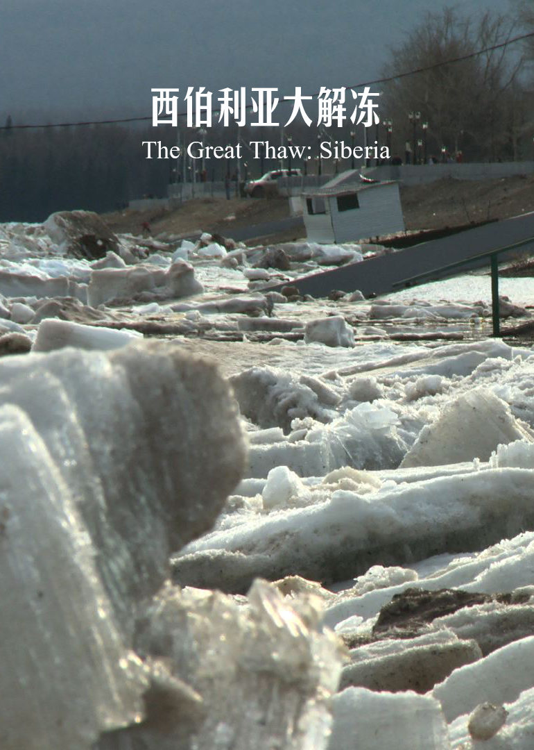 西伯利亞大解凍(2016)海報