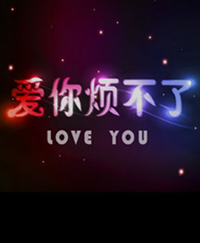 爱你烦不了(2011)海报