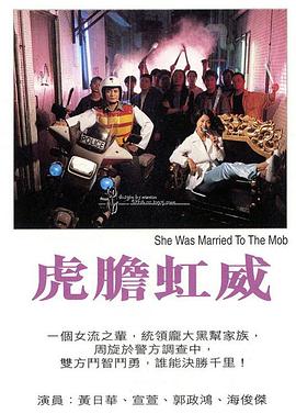 虎胆虹威粤语(1995)海报