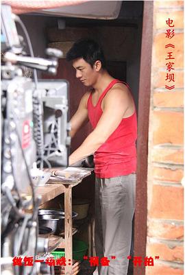 王家坝(2012)海报