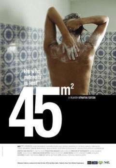45平方米(2010)海报