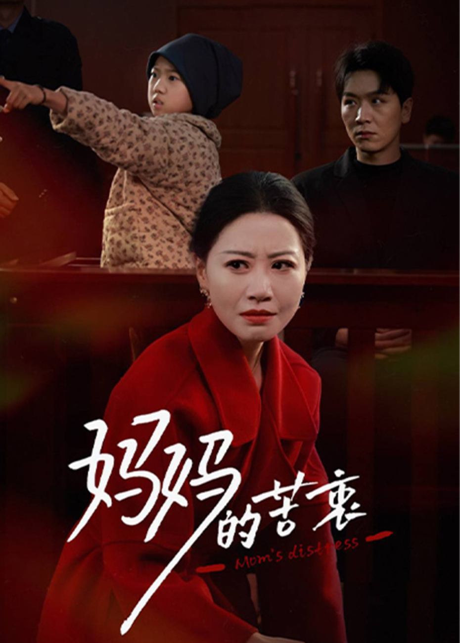 妈妈的苦衷海报