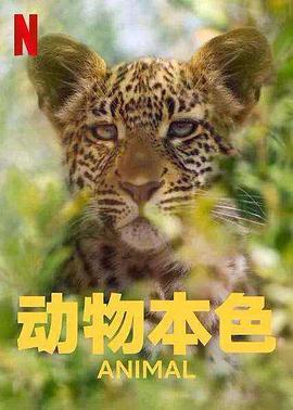 動物本色第二季海報