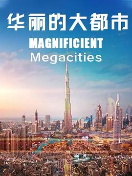 MagnificentMegacities(2017)海报