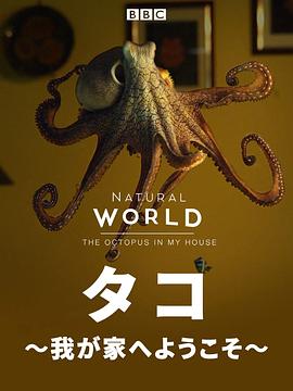 自然世界家里的章鱼(2019)海报