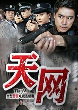 天網2011(2011)海報