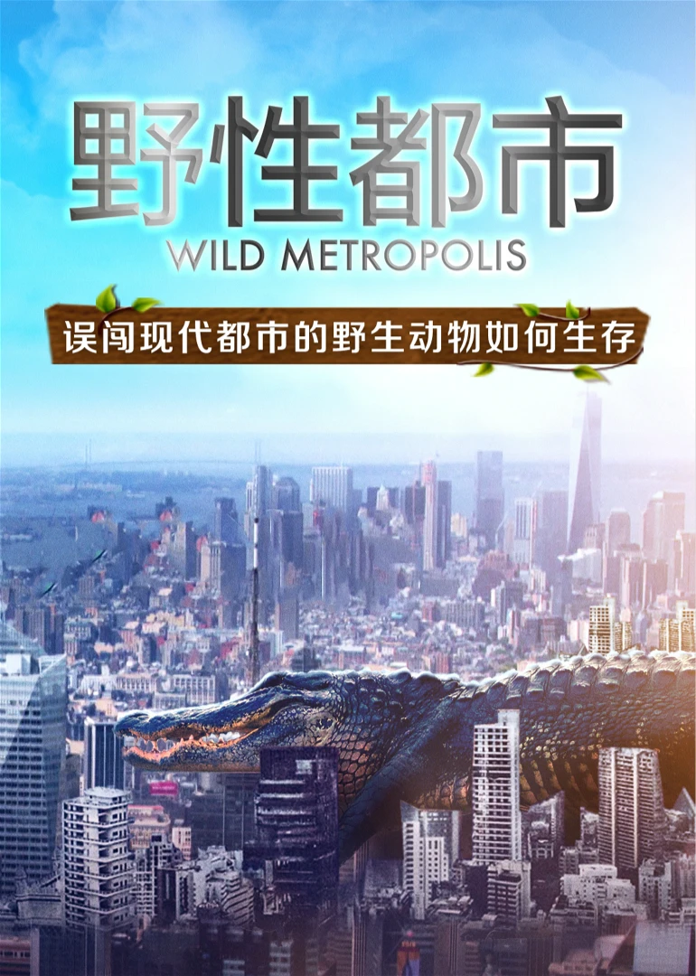 野性都市英語(2018)海報
