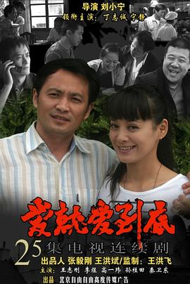 爱就爱到底(2010)海报