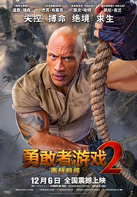 勇敢者遊戲2:再戰巔峰(原聲版)(2019)海報