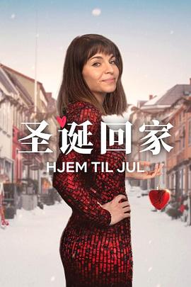 圣诞寻伴第3季(2019)海报