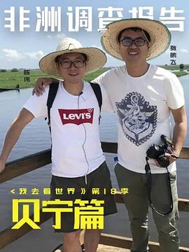 非洲调查报告贝宁篇(2020)海报