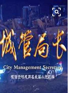 城管局長(2010)海報