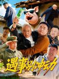 遇事别冲动(2025)海报