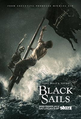 黑帆第二季(2014)海報