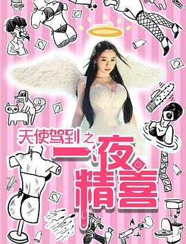 天使驾到之一夜精喜(2016)海报