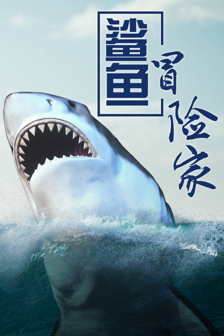 鯊魚冒險家(2015)海報