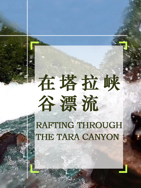 在塔拉峡谷漂流(2019)海报