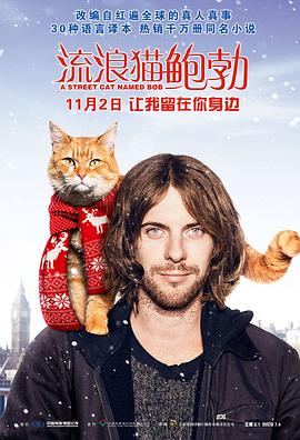 流浪猫鲍勃(国语版)(2016)海报