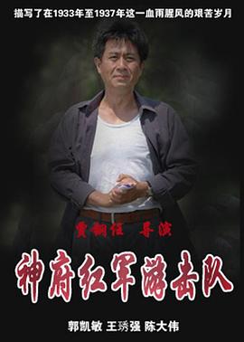 神府红军游击队(2008)海报