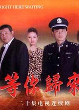 等你歸來(2001)海報