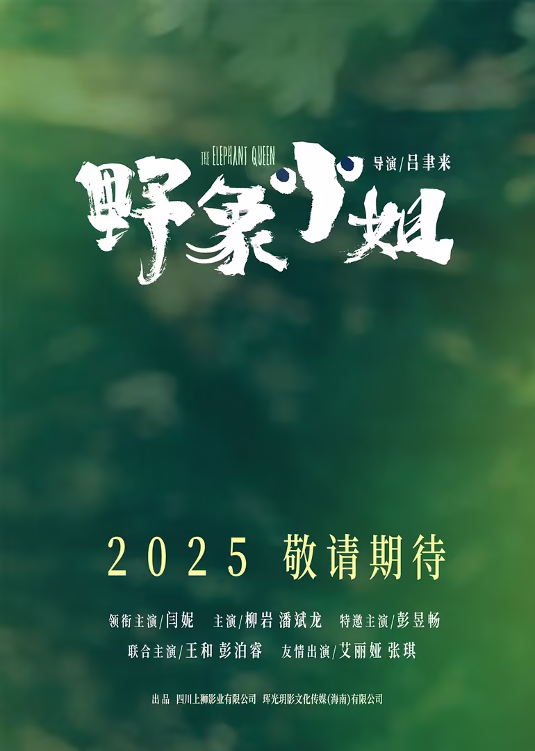 野象小姐(2024)海报