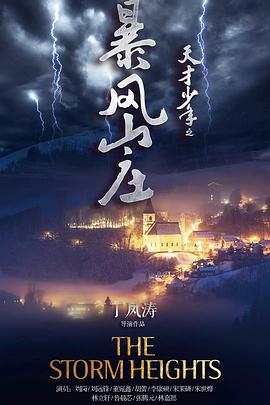 天才少年之暴風山莊(2018)海報