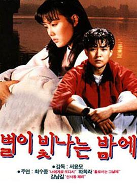 星光闪烁的夜晚(1991)海报