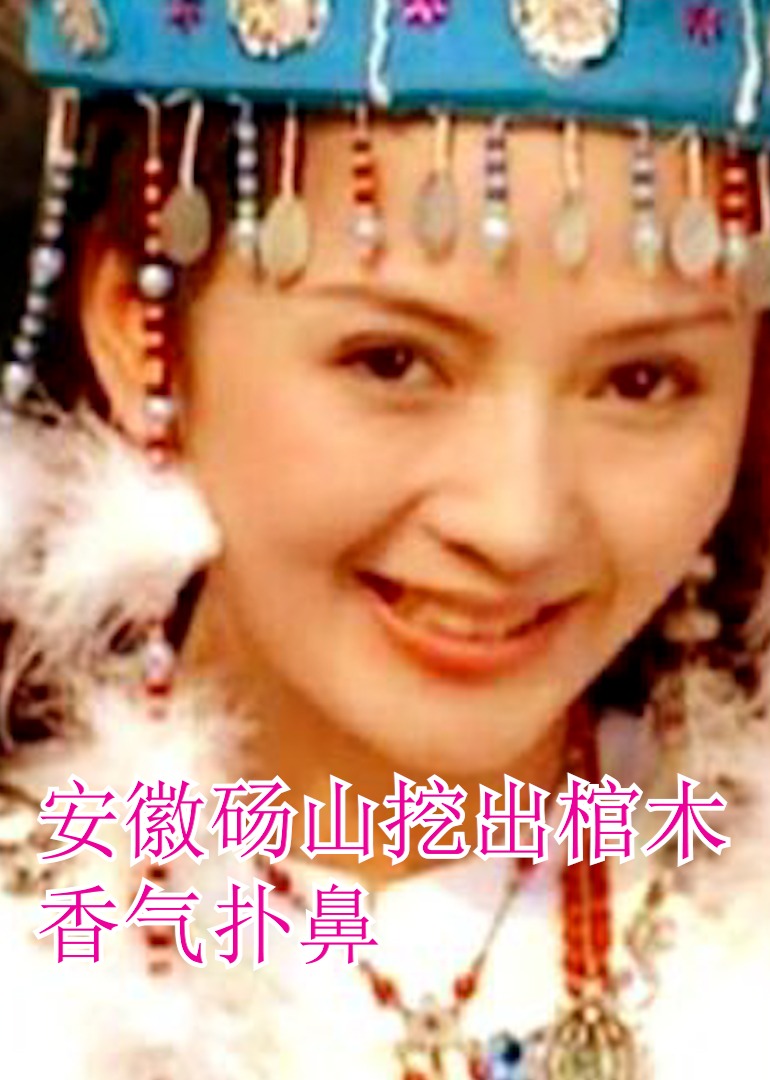 安徽砀山挖出棺木香气扑鼻海报