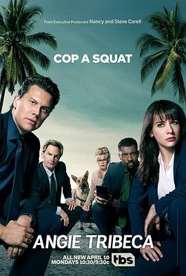 爆笑女警第三季(2017)海报