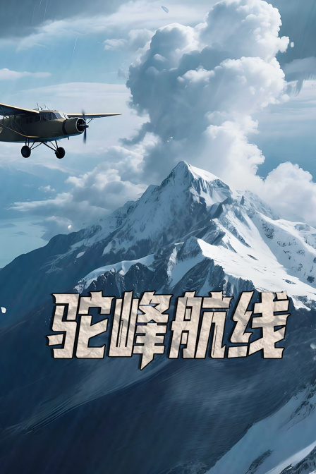 驼峰航线(2025)海报