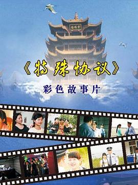 特殊協議(2008)海報